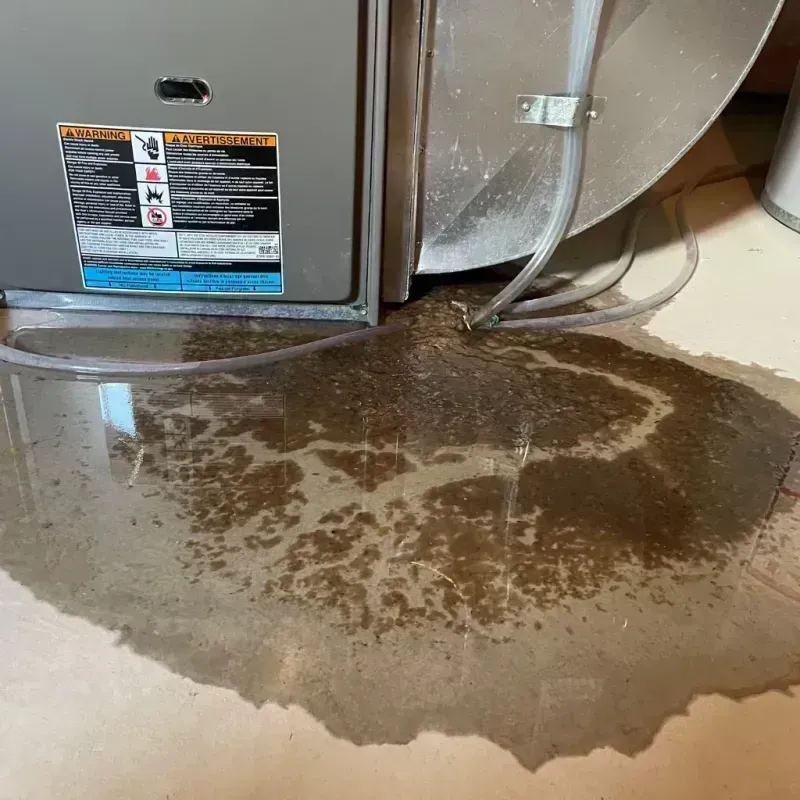 Appliance Leak Cleanup in Trenton, MO